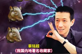 他曾以2.7亿天价拍下圆明园兽首，并且无偿捐献给了祖国，后来才发现他赖账没有付钱！#探索发现 #科普 #奇闻趣事视频封面