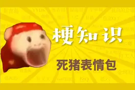 "《死猪表情包》是什么梗？"#万恶之源 #梗 #前方高能 #迷惑行为