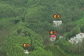 父亲提议三兄弟分开建房，说是兄弟之间隔墙不隔心就好了！#农村生活 #农村自建房视频封面