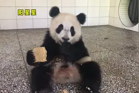 阳花带娃：小孩子不能吃大窝头，只能吃小渣渣～视频封面