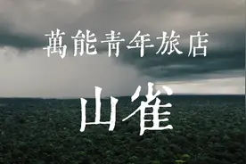 山雀-万能青年旅店#万能青年旅店 #万青 #万能青年旅店乐队