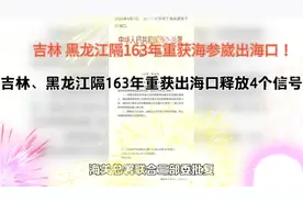 吉林、黑龙江时隔163年重获海参崴出海口！#为祖国点赞视频封面