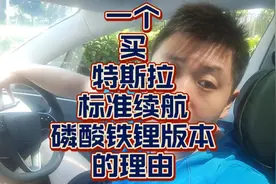 特斯拉磷酸铁锂标准续航版的购买理由#特斯拉 #新能源汽车