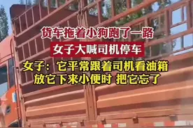 货车司机把狗狗放下小便却忘了！拖着狗狗跑了一路！幸亏好心人追着喊停车才发现！可狗狗眼里只有无辜的痛！却没有一丝丝恨意！你虐它千百遍！它待你如初恋！车上有带孩子的！动物的！开车前请检查下他们是否都在车上吧视频封面