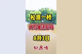 松原一桥水位上涨中，即将出现洪峰 #洪水 #防汛 #松花江视频封面