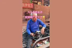八十岁的“太子”现在是每天早出晚归😂，正是奋斗的年纪呀😁#记录真实生活 #抖音记录美好生活 #奋斗中的男人 #原创视频封面