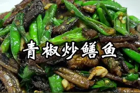 青椒炒鳝鱼 鳝鱼这样炒，香，辣椒入味，还不咸，你喜欢吗#青椒炒鳝鱼 #鳝鱼 #我的乡村生活 #爆炒黄鳝家常做法 #湘厨唐金龙