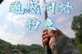 通威饲料钓鱼效果怎么样？#原来钓鱼才是抖音运动顶流 #爱生活爱钓鱼 #钓鱼视频封面
