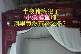 半夜饿了，小溪摸鱼炖，没想到晚上的小溪有这么多食材，现捞现炖真鲜美啊#捉鱼#赶河 #夜宵 #农村美食 #创作灵感视频封面