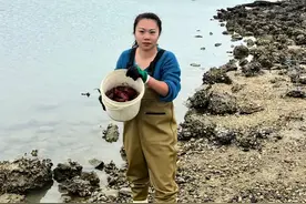 #赶海 冬季的早晨是赶海的最佳时间，螃蟹还未来得及躲藏好就被我们一一带走#户外赶海抓海鲜 #螃蟹🦀