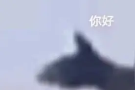 解放军：你小子以为我是三好学生啊？三好学生在军科大呢视频封面