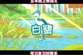 #白鹭 #五年级上册语文 #课本动画#散文诗 #我在抖音看动画
