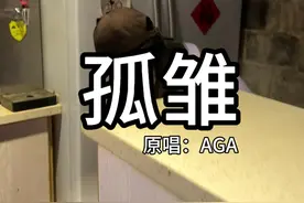听一千遍孤雏，真的不会回头看了吗？#无情人做对孤雏 #孤雏三人弹唱 #村里的廿视频封面