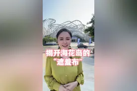 揭秘海花岛现状，买了海花岛的哭晕在卫生间了吧#海花岛 #海南买房避坑 #洋浦经济开发区视频封面