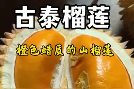 古泰榴莲（Durio Kutejensis），橙黄色蜡质的果肉，是加里曼丹岛和婆罗洲非常特别的山榴莲。#热带水果 #榴莲 #植物科普