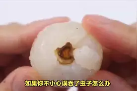 误吞虫子不慌张#科普一下 #虫子 #奇妙知识在抖音 #1000粉丝计划