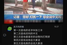 ：不可能，人不可能会讲大象话的 ：不是大哥……你真会啊……