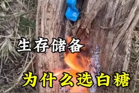 生存储备物资为什么首选白糖 生存储备物质 为什么首选白糖#白糖 #高锰酸钾视频封面