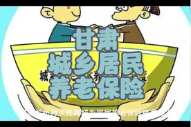 甘肃再次提高城乡居民养老保险缴费档次，一次性补缴7.5万视频封面