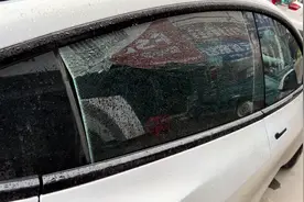 特斯拉说视频看不出谁的问题，需要人员上门鉴定要等3天