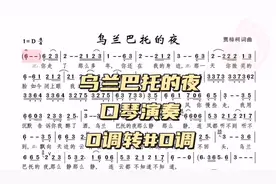 #乌兰巴托的夜 #动态曲谱 #口琴演奏 #朋音动态谱伴奏 D调#D调
