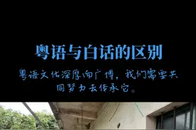 #上热门 粤语文化深厚而广博，我们需要共同努力去传承它。#【粤语与白话的区别】粤语与白话在语言学上属于从属关系。白话是流行于两广地区的口语体系总称，粤语（广府话）作为其核心分支，现已成为整个白话体系的代表。二者区别主要在于定义范畴（白话为方言群，粤语为具体语言分支）、语言形态（白话含多地方变体，粤语已形成标准音系）及学科定位（白话属地方文化概念，粤语为语言学规范术语）。［定义范畴差异］、白话是两广地区各类方言的统称，包含广府话、邕浔片、勾漏片等十余个方言分支，具有语言群属性。粤语特指以广州话为中心的标准化方言，属于白话体系中Zui具影响力的分支。广东民间常将白话等同于粤语，但在学术层面二者不可简单等同。#内容启发搜索 #农村生活视频封面