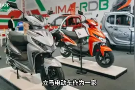 大国品牌立马电动车