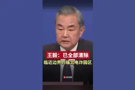 王毅：临近边界的缅北电诈园区已全部清除@抖音短视频