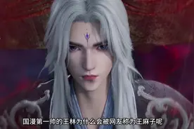 国漫第一帅的王林为何被网友称呼为王麻子呢？#仙逆王林 #李慕婉