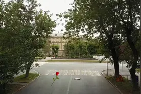 考上大学后，我父母让我跟表哥一起住，他们却不知道我喜欢表哥视频封面