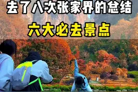 去了八次张家界，六大必去景点！#张家界旅游攻略