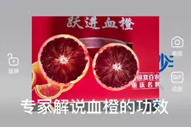 专家解说血橙的功效，多吃有益健康！#健康科普视频封面