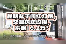 昆明女子闯红灯后，交警过度执法，索赔16.2万？#社会百态 #昆明视频封面