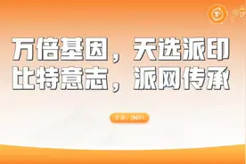 比特币链上BRC20铭文piin崛起