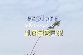 你们要的离底调漂方法来了视频封面