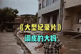 大妈手雷手里拿，天下核桃任她砸，二十多年人还在视频封面