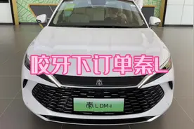 比亚迪秦L下单订了，到底选哪个配置哪个颜色呢视频封面
