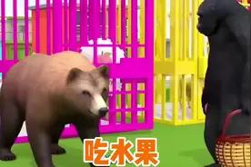 儿童益智动画，棕熊，老虎，奶牛吃了水果就变颜色了#益智动画视频封面