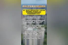 德州对原《德州市住房公积金个人住房公积金贷款实施细则》部分条款进行了修订，符合相关贷款条件并提供证明材料，累计最高贷款额度为120万元。#房产 #公积金视频封面