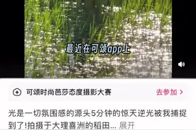 光是一切氛围的源头，发光感人像拍摄技巧，看完这条视频，你也能学会。#可颂 #拍照教程 #摄影在抖音 #发丝光 #手机摄影