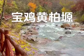 被央妈多次点名的宝鸡黄柏塬，这个秋天不去看看吗？#宝鸡 #秦岭风景 #陕西宝鸡旅游景点 #黄柏塬 #宝鸡旅游攻略