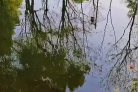 #音画APP #一键制作MV 《如果爱还在》MV深情演绎，触动心弦。