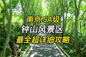 一分钟告诉你如何省时省钱玩遍钟山风景区！超详细游玩攻略请收好