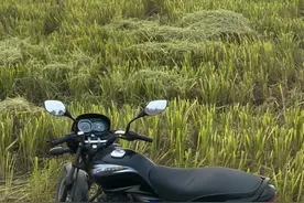 #印度拖拉机 #拖拉机驾驶技术 #现代农业机械 #农机视频 @抖音短视频视频封面