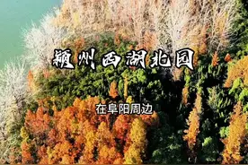 在阜阳周边给大家发现了一个被时光封印的景区，而且景区的红杉林迎来最佳观赏期#为中国小城上分 #周边游 #治愈系风景视频封面