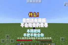 本期视频手把手教会你玩我的世界#我做了八个小时的视频