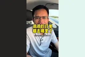 滴滴的订单，都去了哪里？你们跑滴滴还有流水吗？#网约车 #网约车司机 #滴滴出行 #滴滴司机