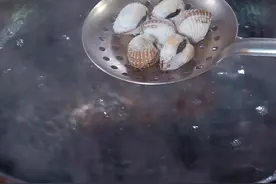 烫花蛤 他叫血蚶也叫血蛤，也有叫雪蛤的，在我们温州统一叫他花蛤，花蛤到底应该烫几秒呢，一个视频讲清楚～#血蚶 #血蛤 #花蛤 #跟着抖音学做菜视频封面