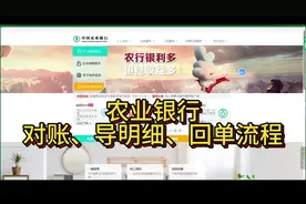 农业银行对账，导回单明细教程来咯~ #农业银行导流水教程