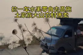 恩施土家卖货郎 第105集 | 拉一车水果零食去恩施土家族大山农村售卖，一天能赚多少钱#新农人计划2024 #记录真实生活 #乡村生活家 #大山里的生活 #卖货郎视频封面